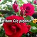 Edward Rogala - Facebook