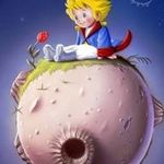 Edward Rohrer - @edwardrohrer - Instagram