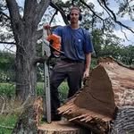 Edward Rook - @easyeddystrees - Instagram