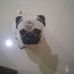 Edward Royke - Facebook