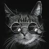 Edwardrop - @edwardrop - TikTok