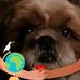 Edward Roosa - Facebook