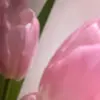Edwardo Roscoe - @edwardo.roscoe - TikTok