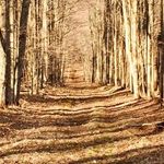 Edward Roux - @rouxedward - Instagram