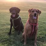 Edward Ruby - @edwardrubysadventure - Instagram