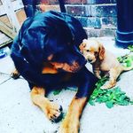 Edward & Rupert - @thejourneyofedward_rupert - Instagram