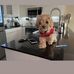 Edward Rupert - Facebook