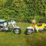 Rupert Edwards - @rupert.edwards.52 - Instagram