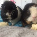 Rupert-William-Edward - @rupertwilliamedward - Instagram