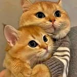 Edward Saab - @edward.saab.35 - Instagram