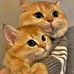 Edward Saab - Facebook