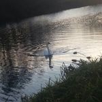 Edward - @edwardsalmon_picturesque - Instagram