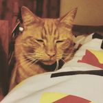 edward savage - @eas_savage - Instagram