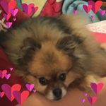 Edward Samuel Sawatsky - @edwardsawatsky - Instagram