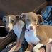 Edward Schofield - Facebook