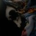 Edward Scriber - Facebook
