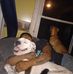 Edward Seeley - Facebook
