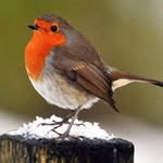 Edward Senior - @edward_senior - Instagram