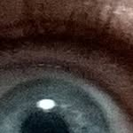 Edward Senior - @edward.senior.129 - Instagram