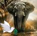 Edward Senior Mutizira - Facebook