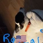 Edward Sewards - @edwardsewards - Instagram