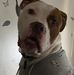 Eddie Shaffer - Facebook