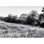 Edward Shaffer - @eylaudon - Instagram