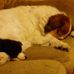 Ed Shaver - Facebook