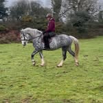 Edward Sheehan - @edward_shsh - Instagram