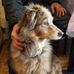 Ed Sheldrick - Facebook