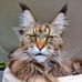 Edward Simpkins - Facebook