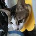 Edward Siu - Facebook