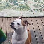 Edward Snider - @snider263 - Instagram