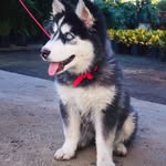 Edward Snider - @edwardsnider50 - Instagram