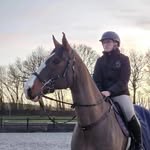@edwardson.eq - Instagram