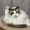 Edward Soo - @edward.soo - TikTok