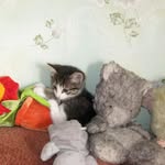 Edward Spangler - @spangler_edward - Instagram