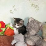 Edward Spangler - @spangler_edward - Instagram