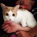 Eddie Spaulding - Facebook