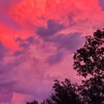 Edward Spaulding Wilson III - @edward.s.wilson.52 - Instagram