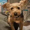Edward Speakman - @edward.speakman - TikTok