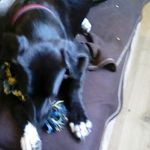 edward speed - @edspeedawsome - Instagram
