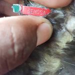 Jose Mejia - @edwardspeed00 - Instagram
