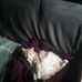 Edward Speights - Facebook