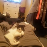 Edward Squires - @edwardsquiresjr - Instagram