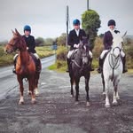Edward Burke - @rock_house_stables - Instagram