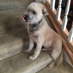 Edward Staats - @staatsedward - Instagram