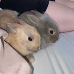 @edward_stampertje - Instagram