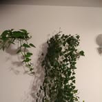 Edward Stańczyk - Facebook