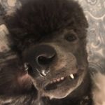 Es - @edward.still - Instagram